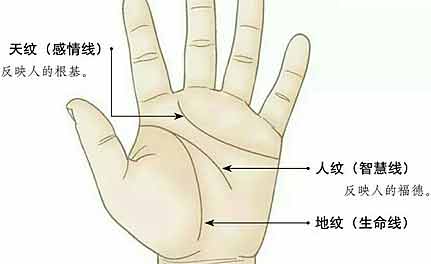 古代掌相中的三才纹介绍