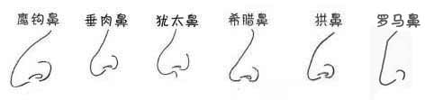 鼻型面相分析